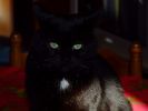 2008_0101JdelAn0007.JPG
