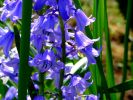 2008_0502mai080022.JPG