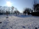 2009_0111neige0030.JPG