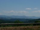 DSCF0315.JPG