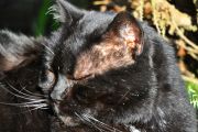 DSC_1566.JPG