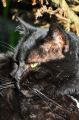 DSC_1568.JPG