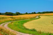 DSC_1691.JPG
